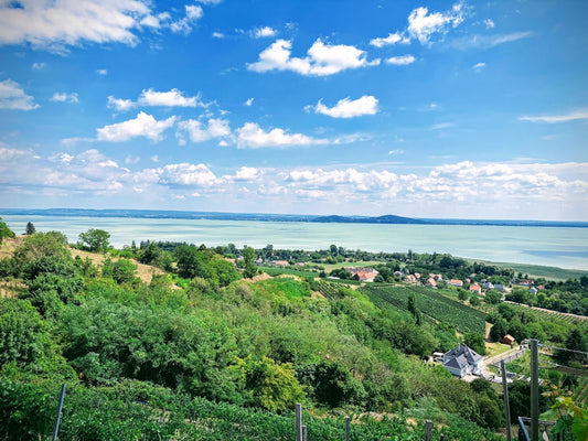 Balaton vin-dagbog 2025