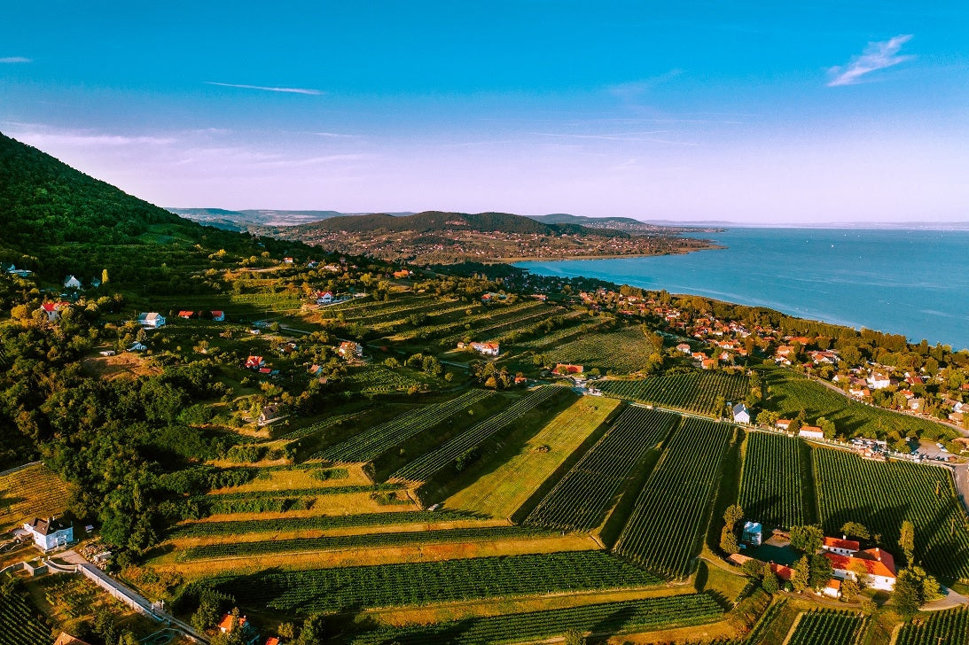 Balaton