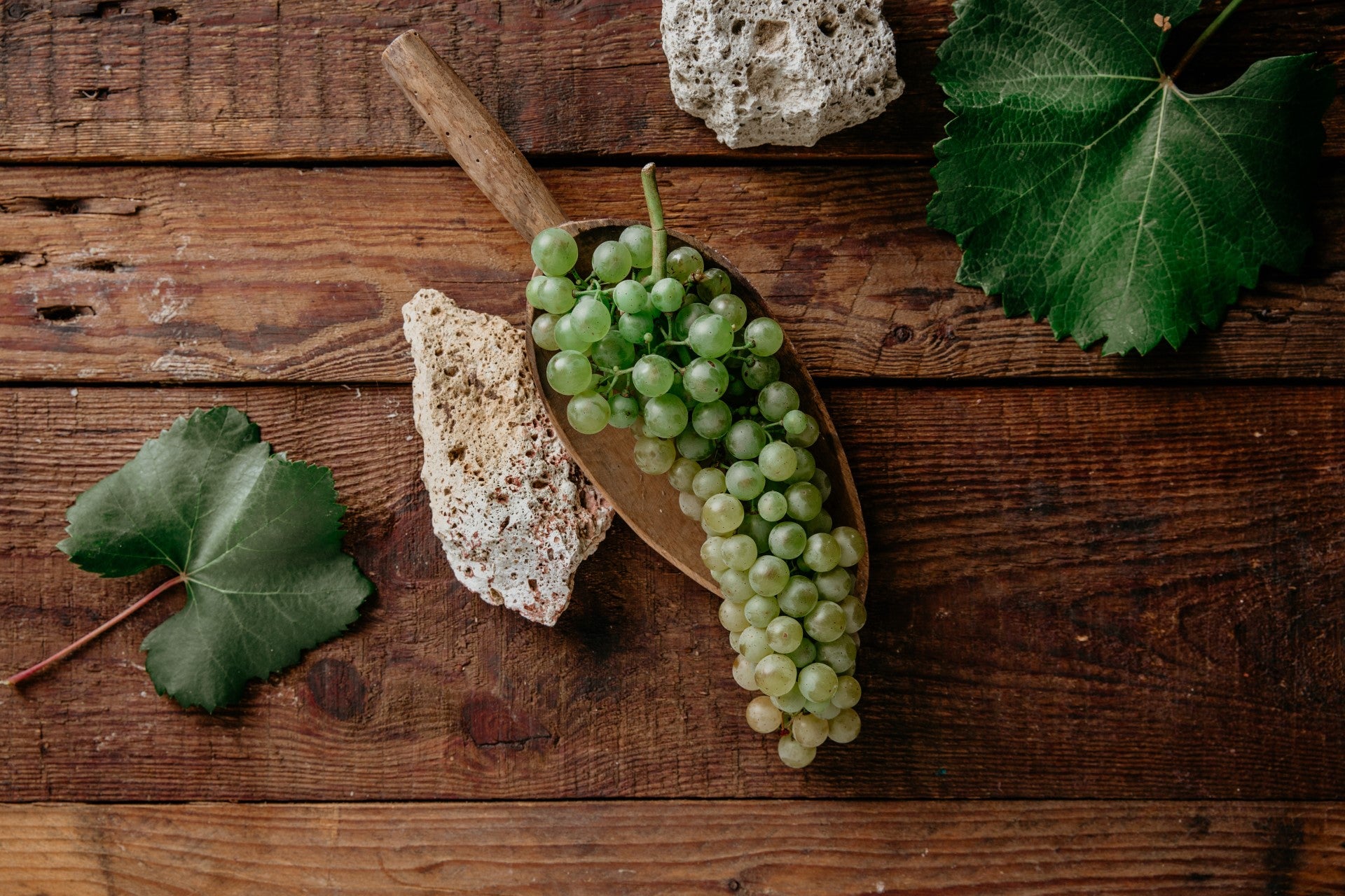 harslevelu_header