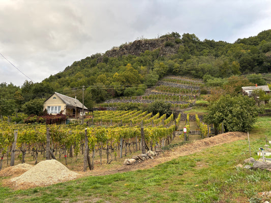 Somló stemningsbilleder