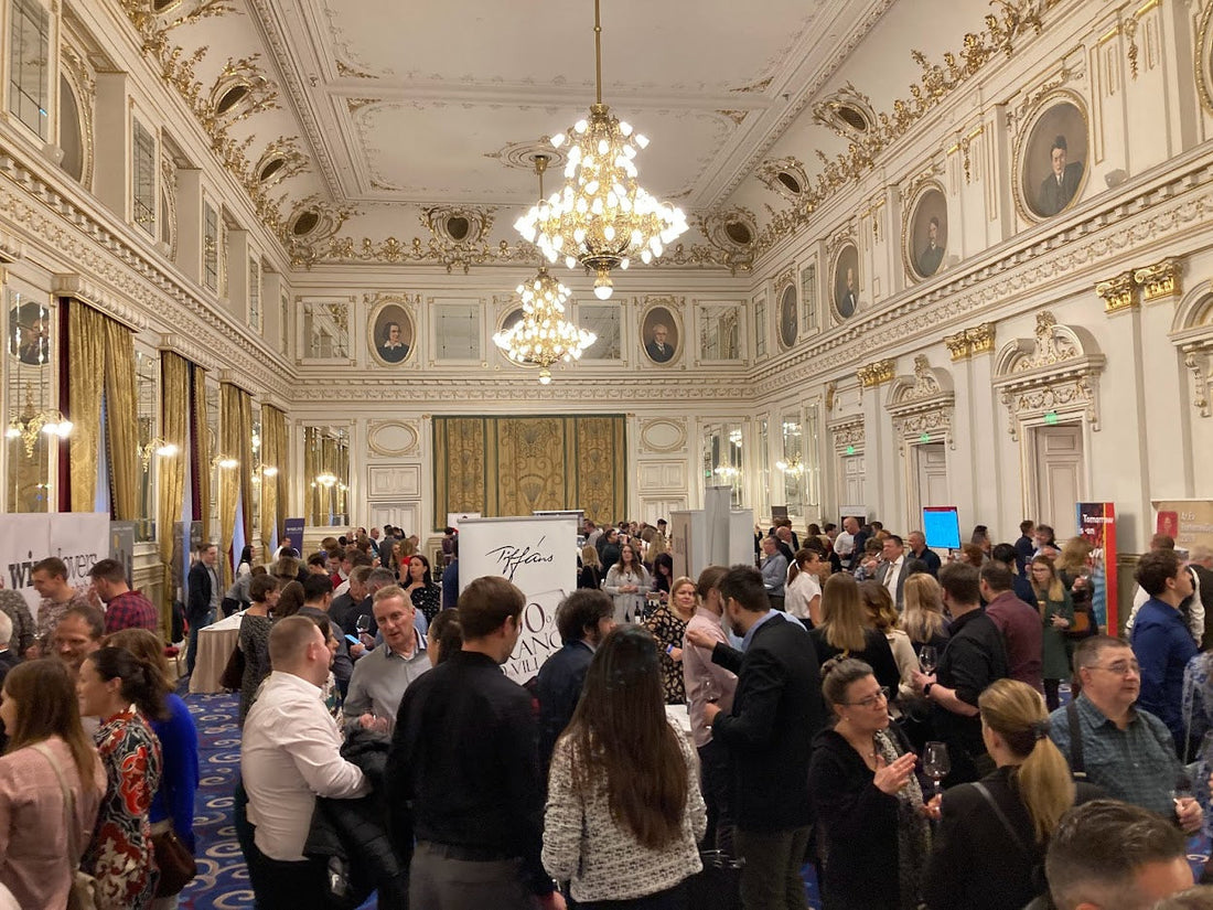 Vinfestival i ungarn i flotte lokaler med mange folk