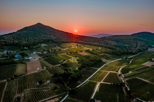 Fra pannon vinregion, solnedgang bag et bjerg og frodige sletter