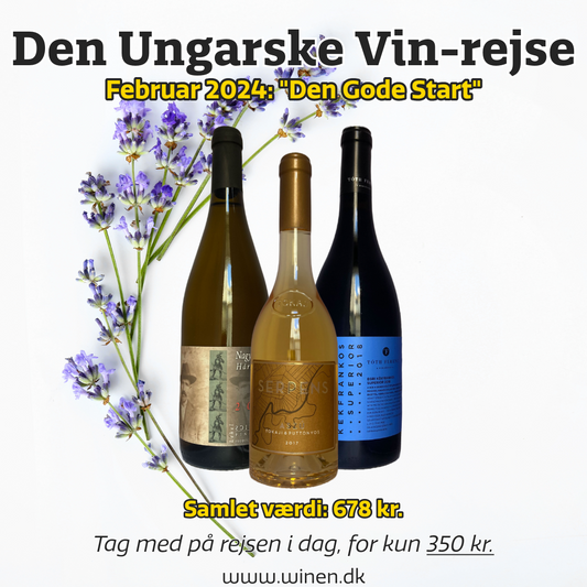 Den Ungarske vin-rejse, februar måned, den gode start